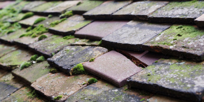 Burnham On Crouch roof repair costs